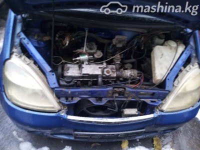 Ашка гибрид.jpg